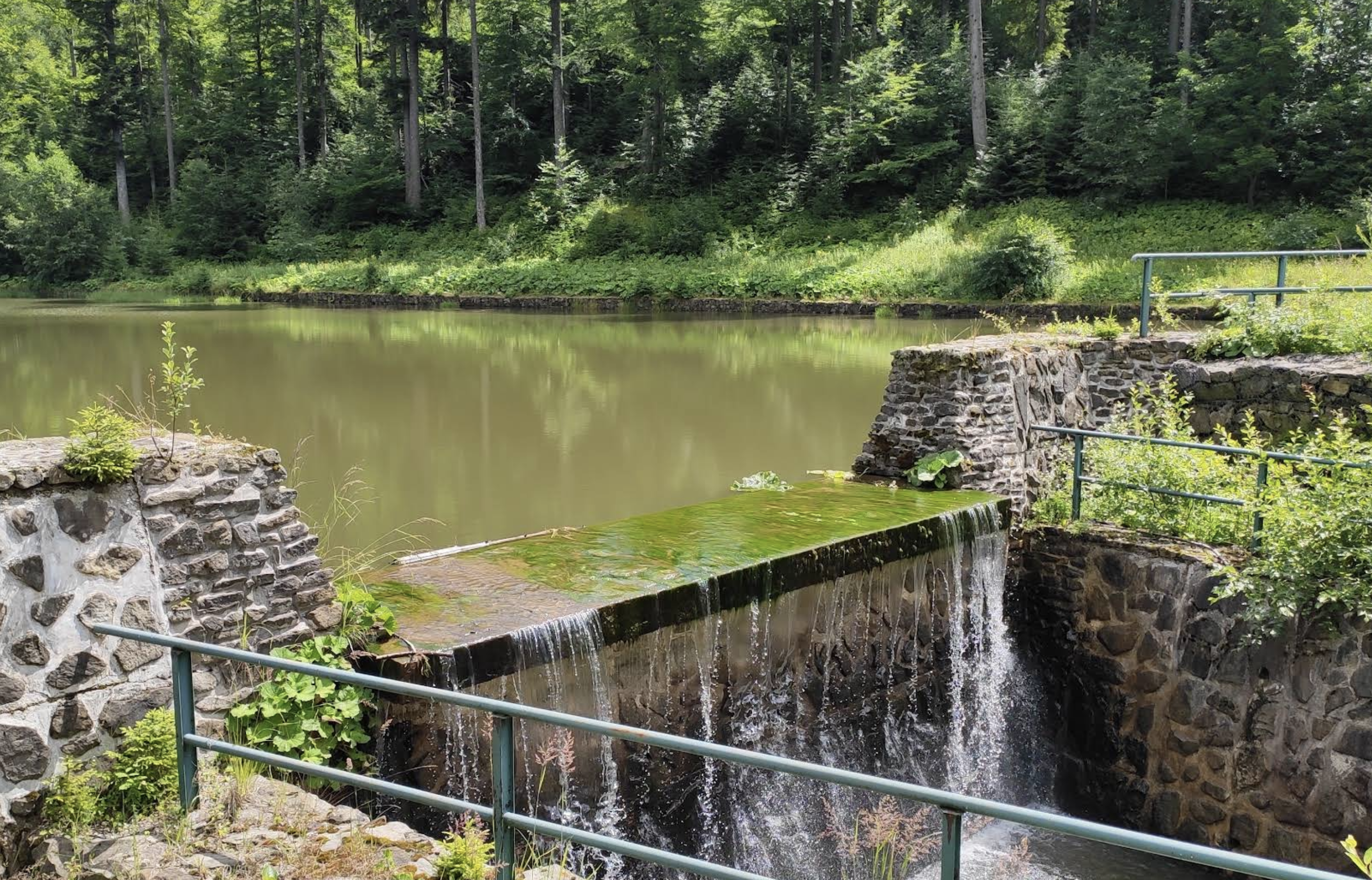 Staw Polhorský tajch