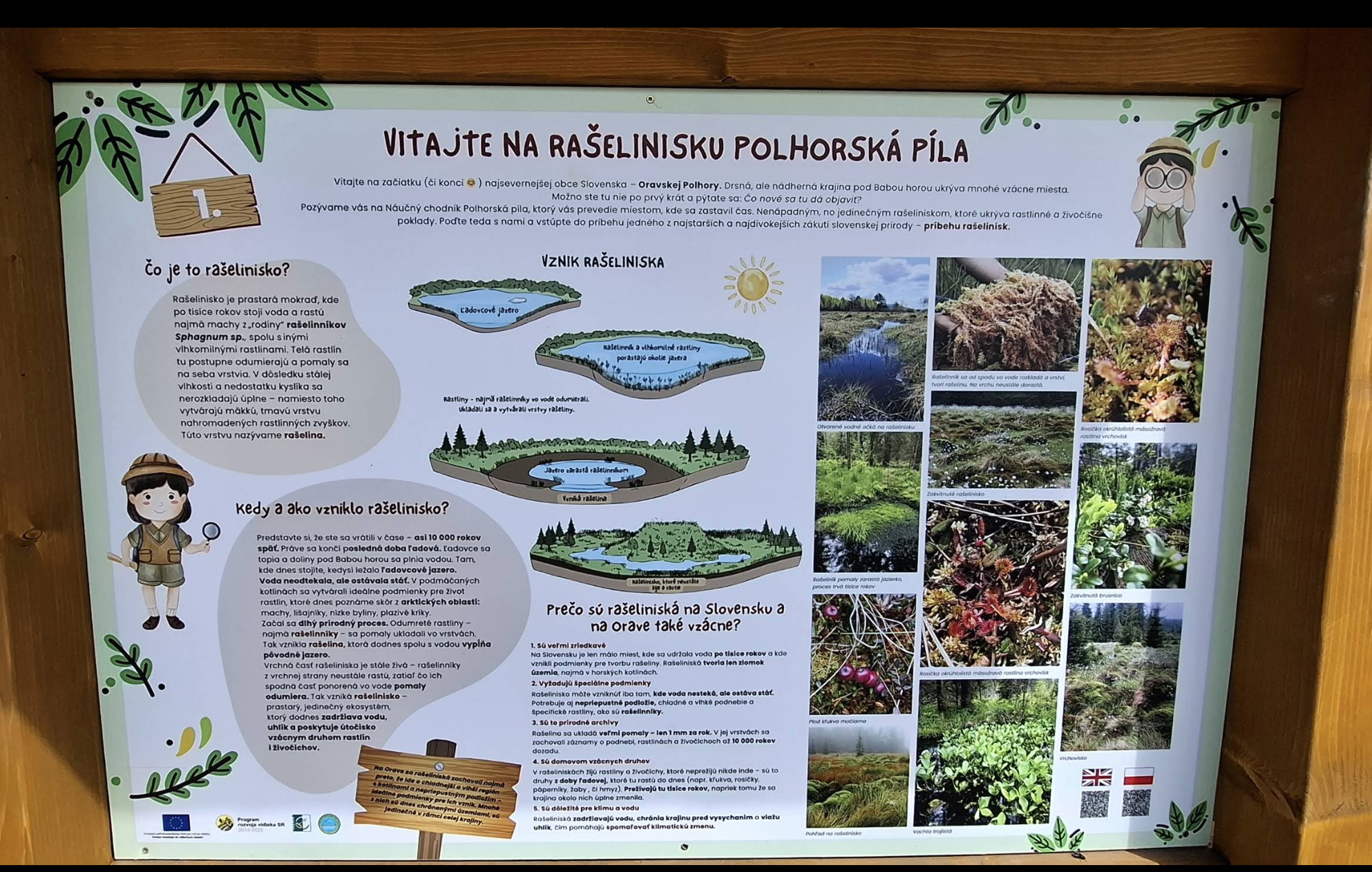 Torfowisko Polhorská píla